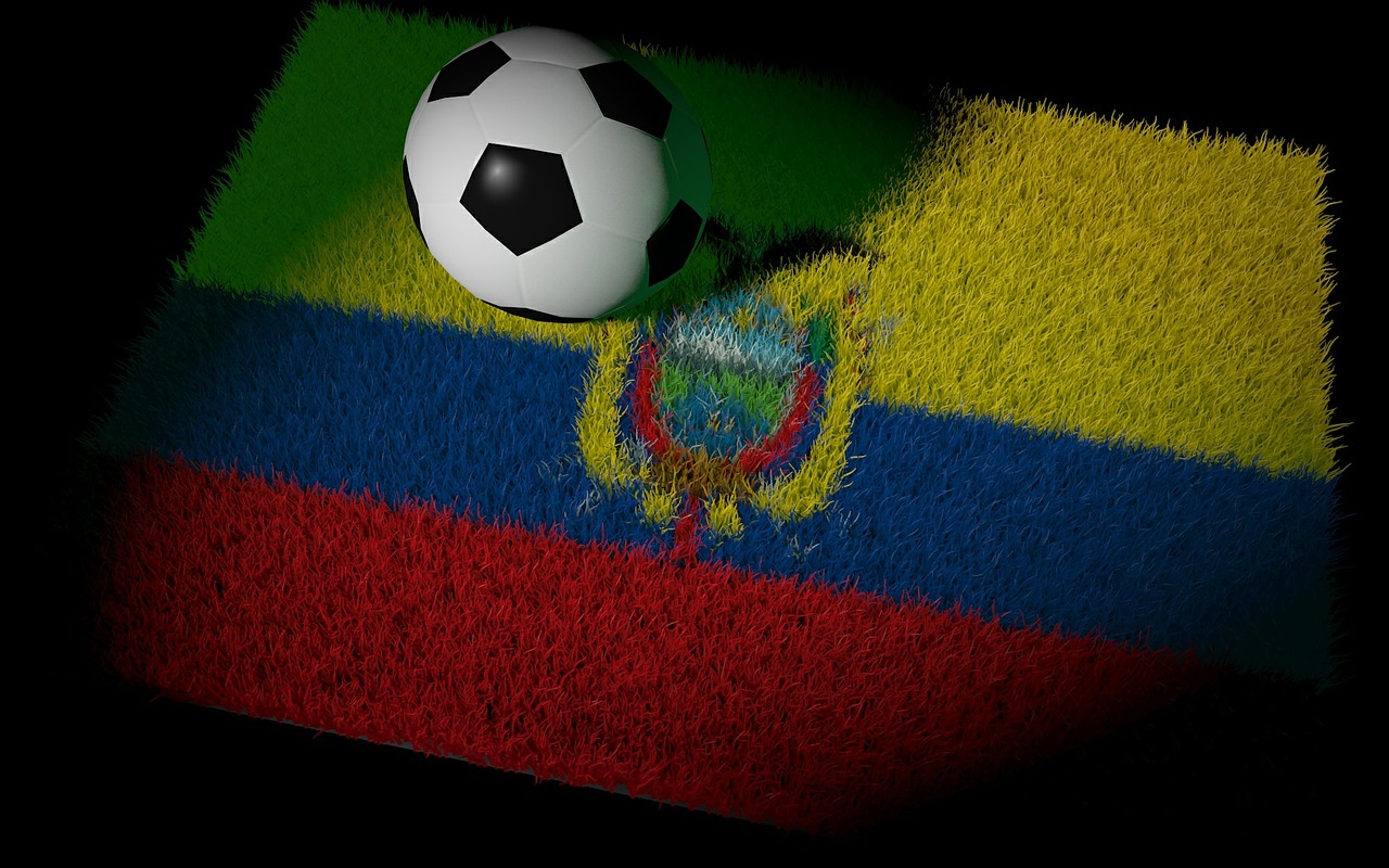 Ecuador, Futbolas, Pasaulio Taurė, Pasaulio Čempionatas, Nacionalinės Spalvos, Futbolo Rungtynės, Vėliava, Velėna, Nemokamos Nuotraukos,  Nemokama Licenzija