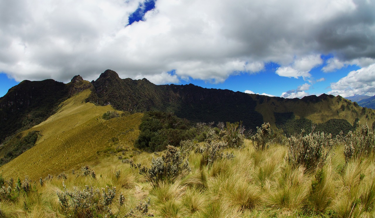 Ecuador,  Andes,  Pasochoa,  Amerikietis,  Į Pietus,  Gamta,  Lotynų,  Kalnas,  Kraštovaizdis,  Kelionė