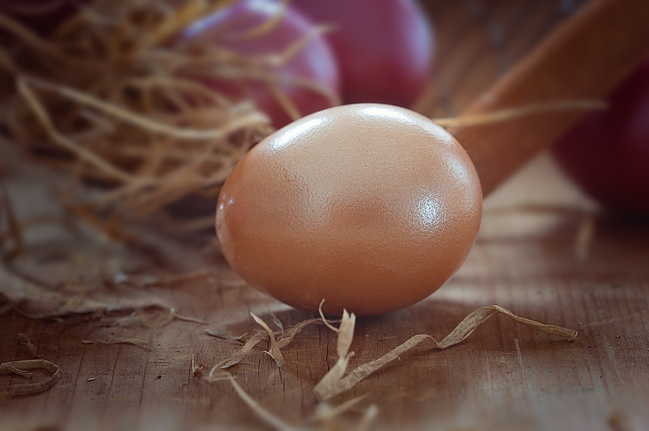 Kiaušinis, Velykinis Kiaušinis, Spalva, Spalvos, Velykos, Muitinės, Natūralus Produktas, Spalvotas Kiaušinis, Uždaryti, Nemokamos Nuotraukos