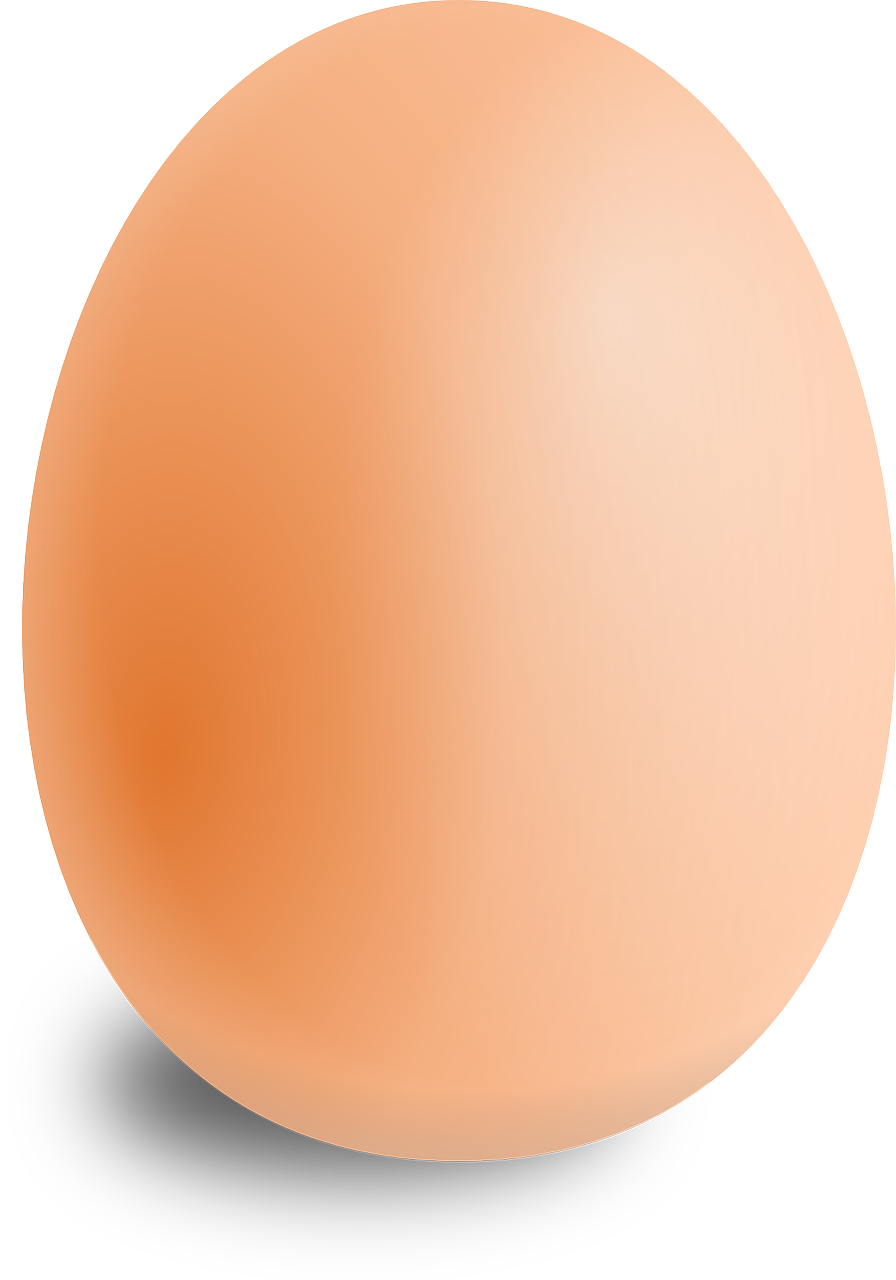 Kiaušinis, Ovalus, Maistas, Apvalus, Nemokama Vektorinė Grafika, Nemokamos Nuotraukos,  Nemokama Licenzija