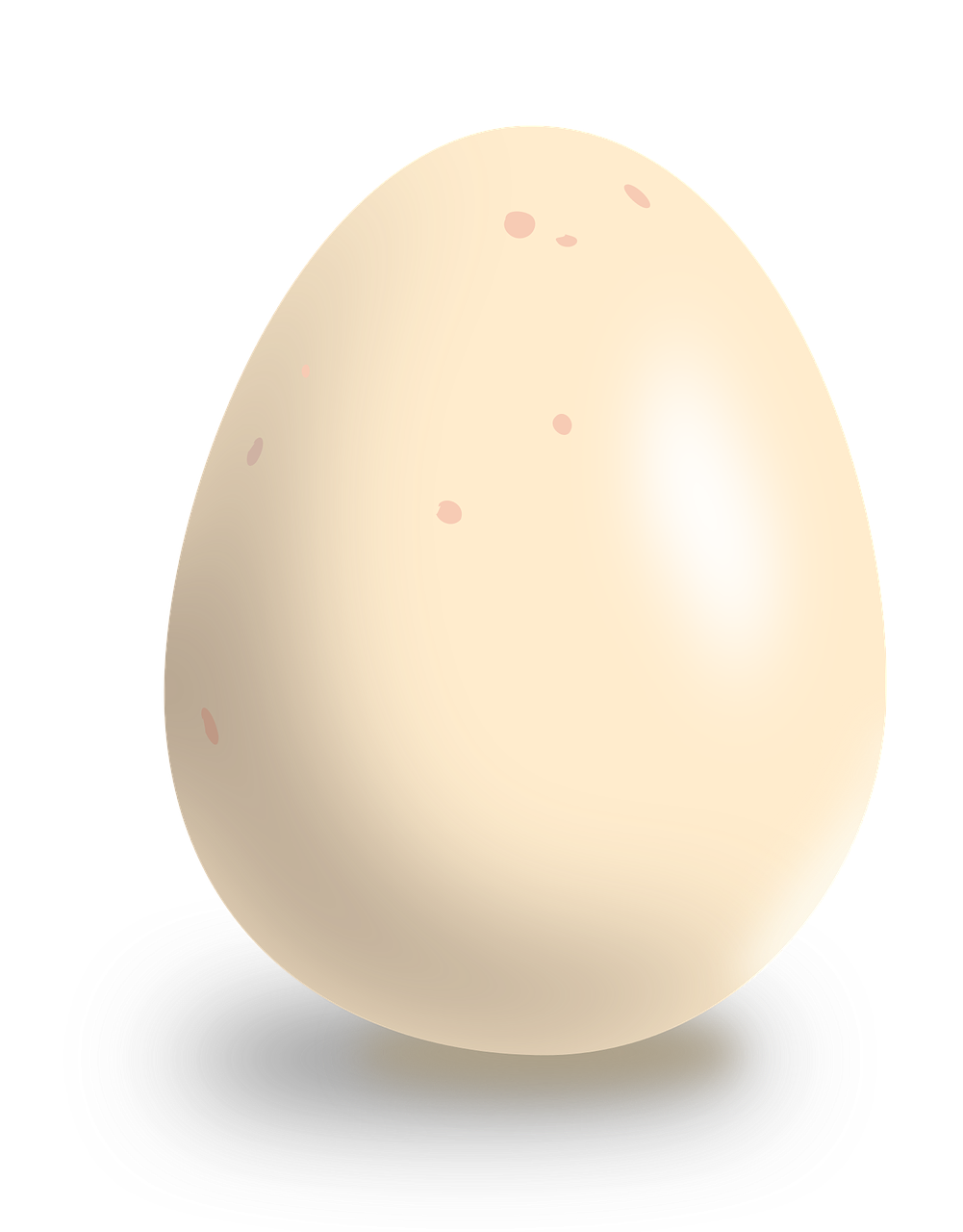 Kiaušinis, Vištienos Kiaušinis, Maistas, Balta, Velykos, Kiaušinio Plekšnė, Pusryčiai, Baltymas, Žaliavinis, Lukštas