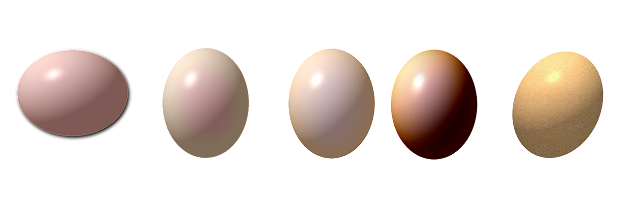 Kiaušinis, Kiaušiniai, Piešimas, Paruošti Kiaušiniai, Kiaušinio Geltona, Daug Kiaušinių, Paruoštas Kiaušinis, Grafika, Vektorius, Iliustracija