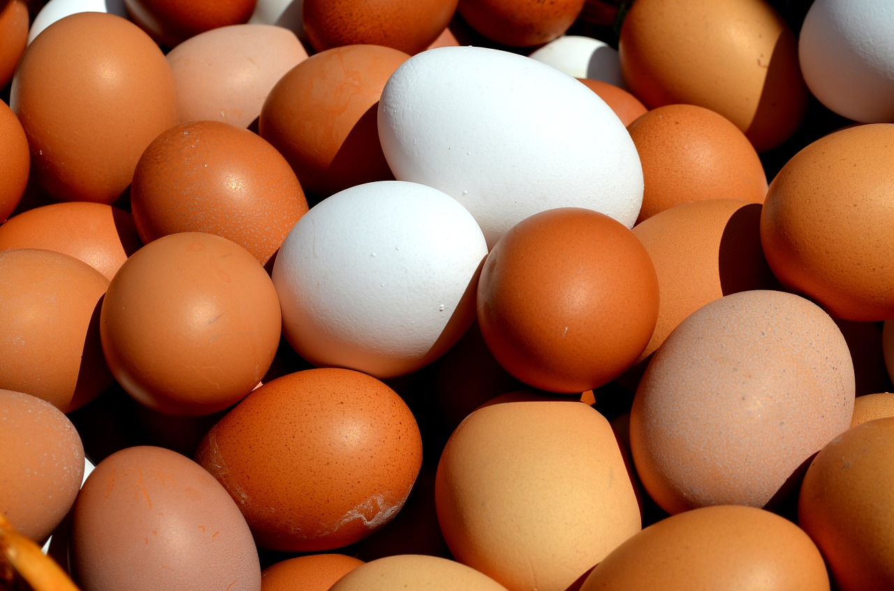 Kiaušinis, Vištos Kiaušinis, Uždaryti, Krepšelis Jaukus, Rudas Kiaušinis, Žalias Kiaušinis, Rudieji Kiaušiniai, Maistas, Daug Kiaušinių, Hofladen