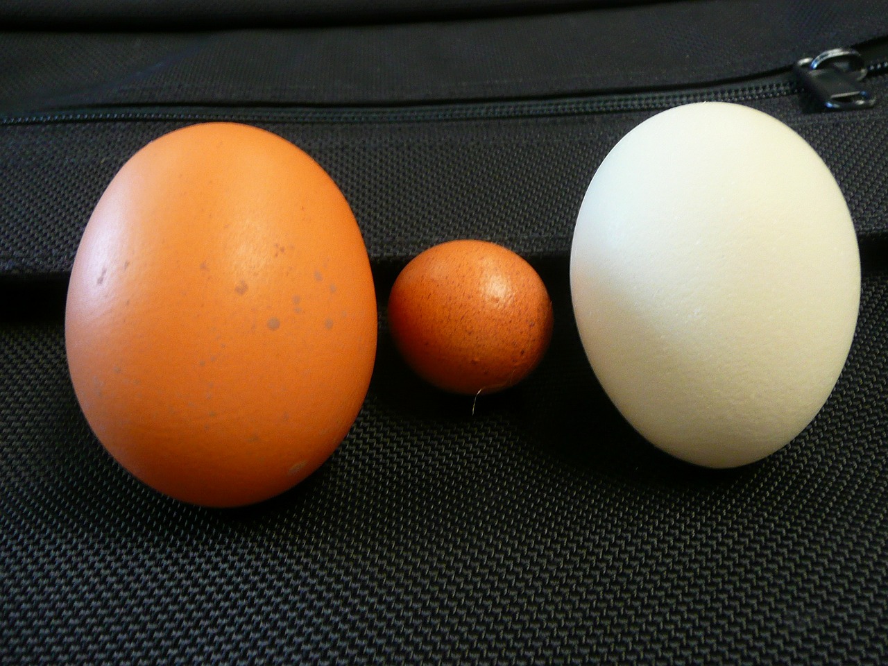 Kiaušinis, Vištienos Kiaušiniai, Ruda, Balta, Vištiena, Ūkis, Lukštas, Ekologiškas, Natūralus, Sveikas