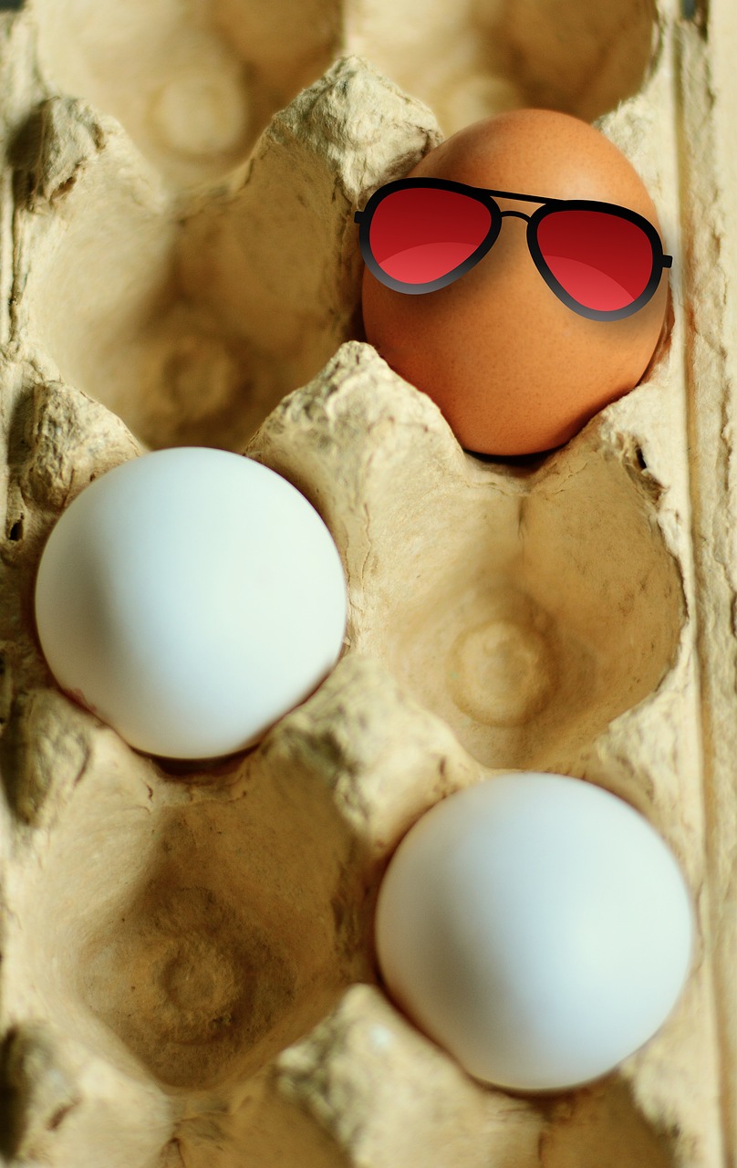 Kiaušinis, Vištos Kiaušinis, Rudieji Kiaušiniai, Balti Kiaušiniai, Dažymas, Kiaušinių Dėžutė, Žalias Kiaušinis, Kiaušinių Pakuotė, Izoliuotas, Kontrastas