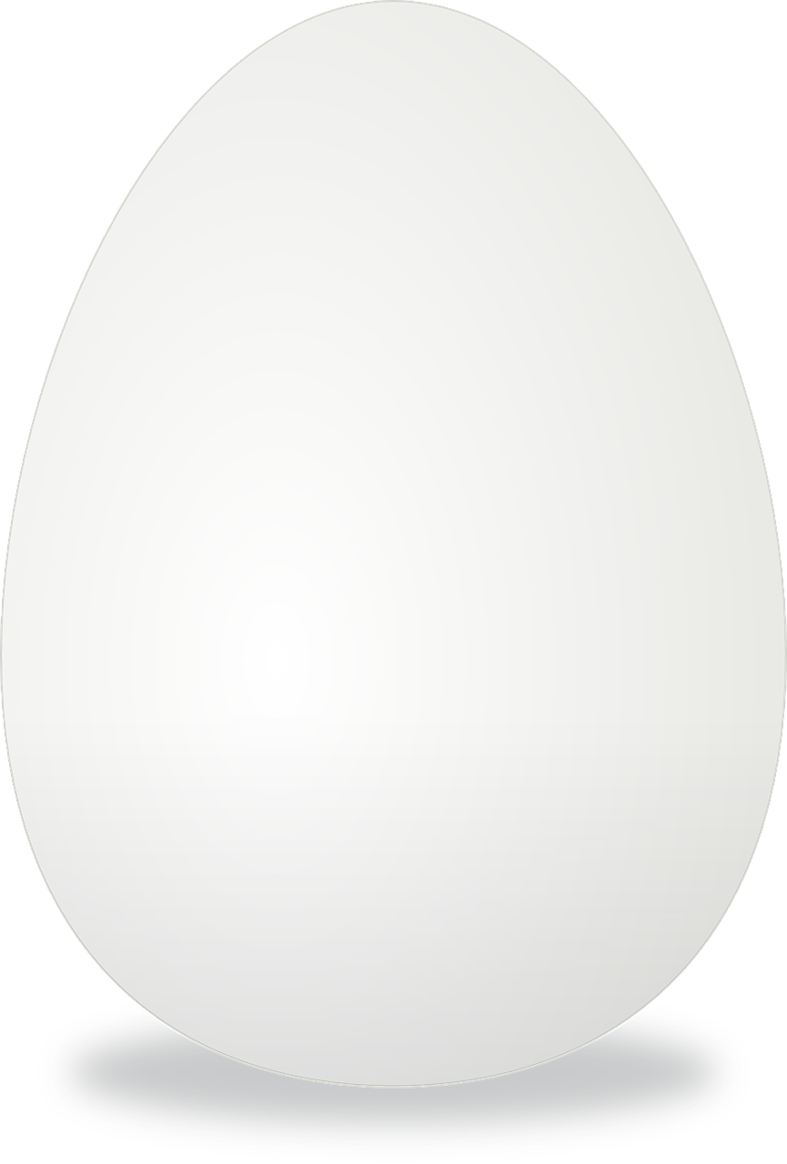 Kiaušinis, Kiaušinių Lukštai, Balta, Vištos Kiaušinis, Nemokama Vektorinė Grafika, Nemokamos Nuotraukos,  Nemokama Licenzija