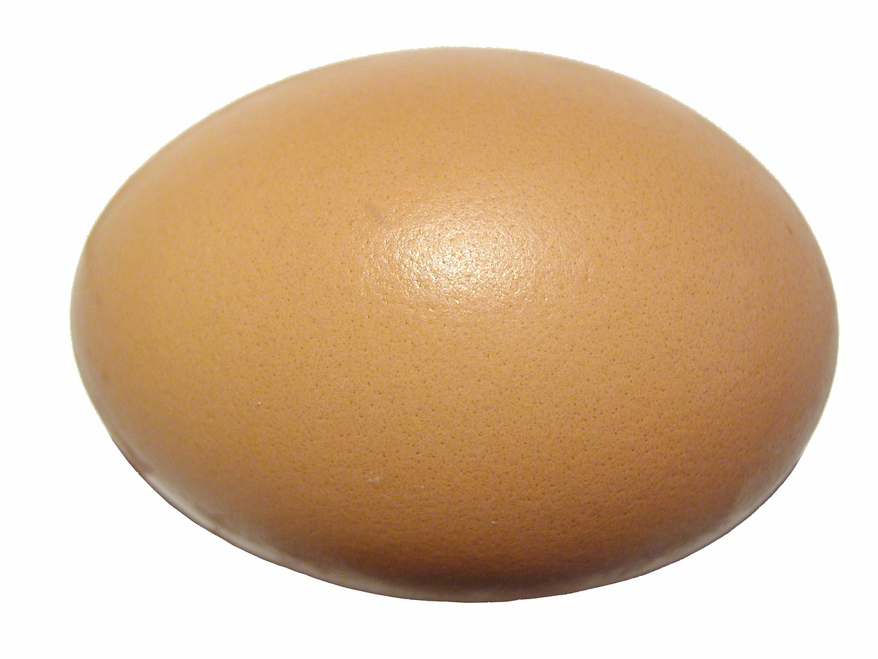 Kiaušinis, Kiaušinio Plekšnė, Baltymas, Lukštas, Kiaušialąstė, Maistas, Ingredientas, Izoliuotas, Virėjas, Nemokamos Nuotraukos