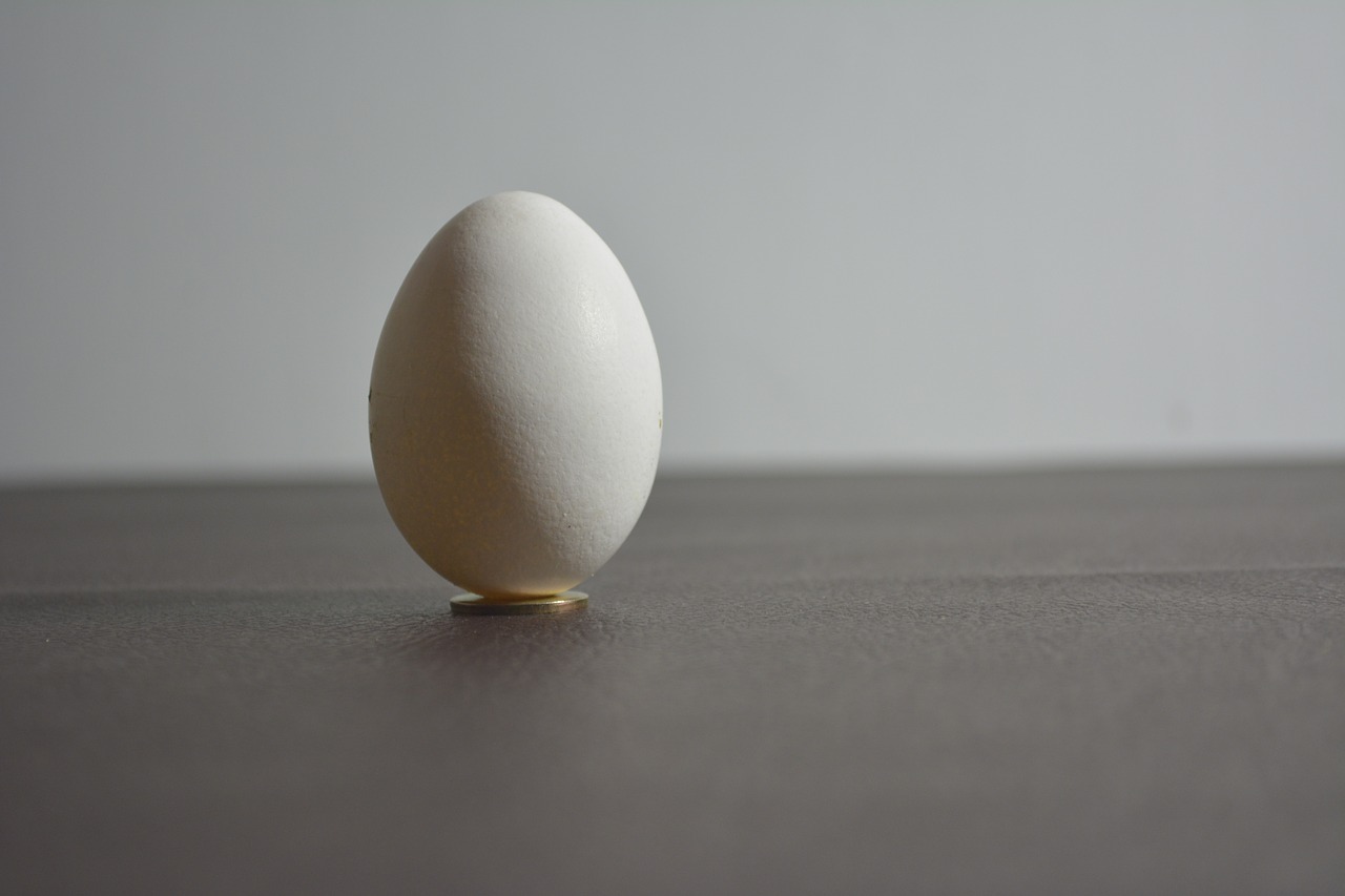 Почему яйца серые. Яйцо белое. Гладкие яйца. Современные яйца. Яйцо на белом фоне.