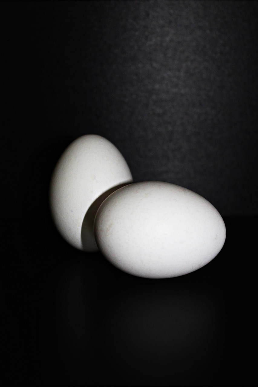 Kiaušinis, Vištienos Kiaušiniai, Vištos Kiaušinis, Maistas, Ovalus, Mityba, Vištiena, Ūkis, Balta, Žaliaviniai Kiaušiniai