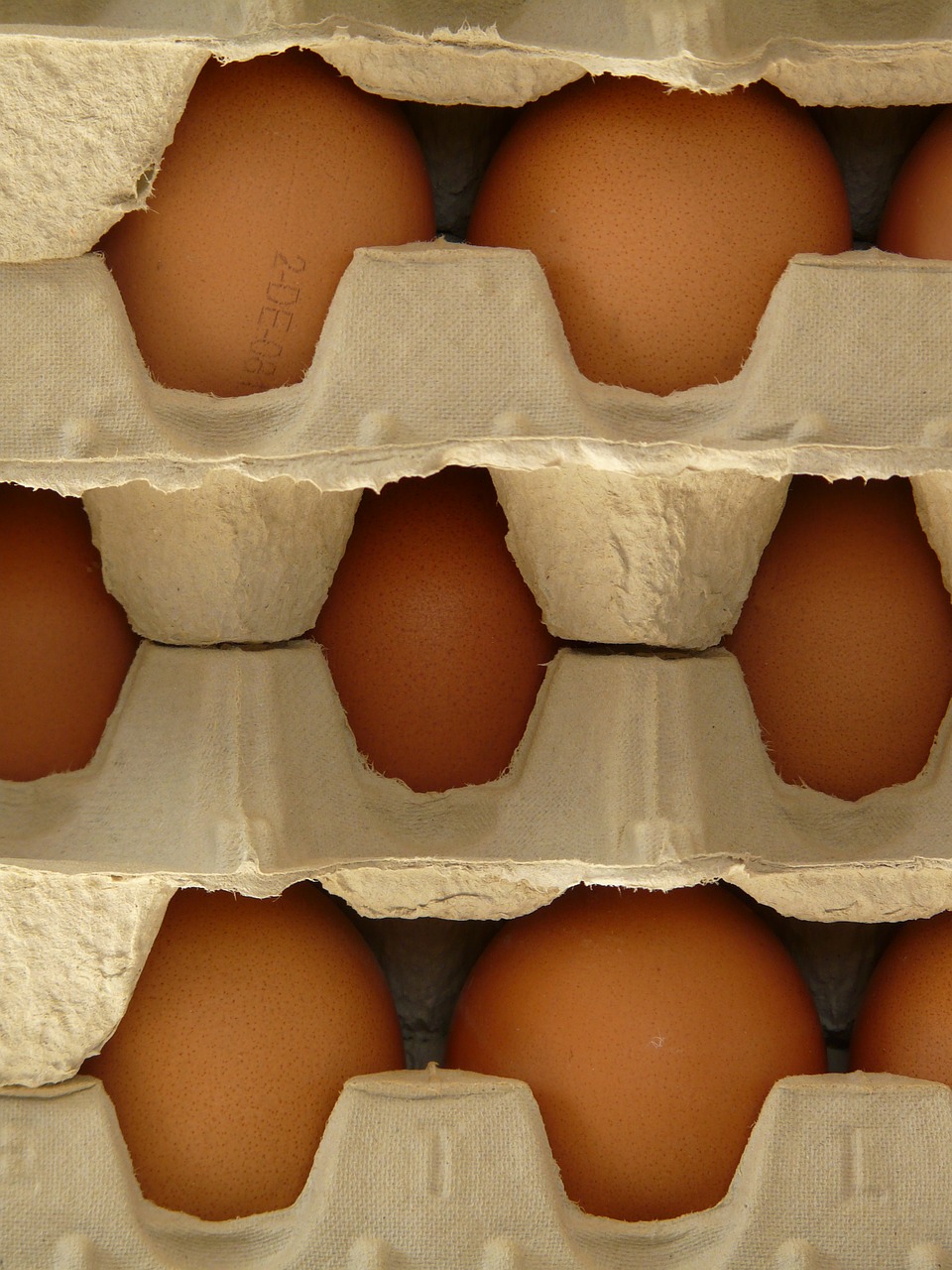 Kiaušinis, Kiaušinių Dėžutė, Maistas, Uždaryti, Makro, Nemokamos Nuotraukos,  Nemokama Licenzija