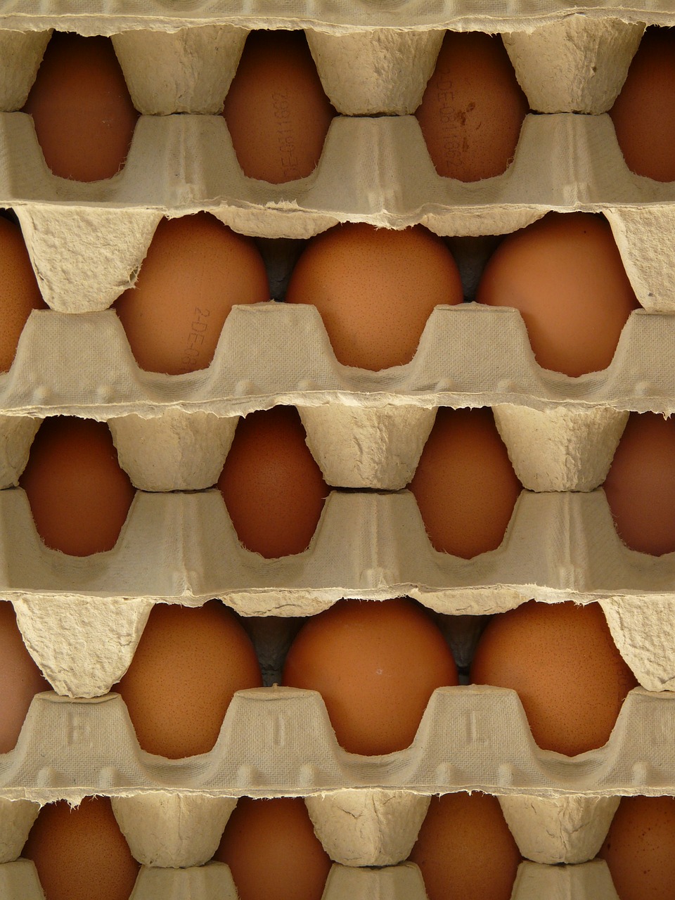 Kiaušinis, Kiaušinių Dėžutė, Maistas, Nemokamos Nuotraukos,  Nemokama Licenzija