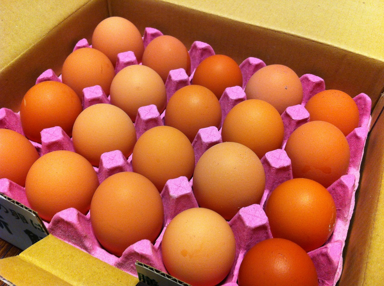 Kiaušinių Dėžutė, Kiaušinių Dėžutė, Kiaušinių Dėžutė, Kiaušiniai, Maistas, Mityba, Baltymas, Nemokamos Nuotraukos,  Nemokama Licenzija