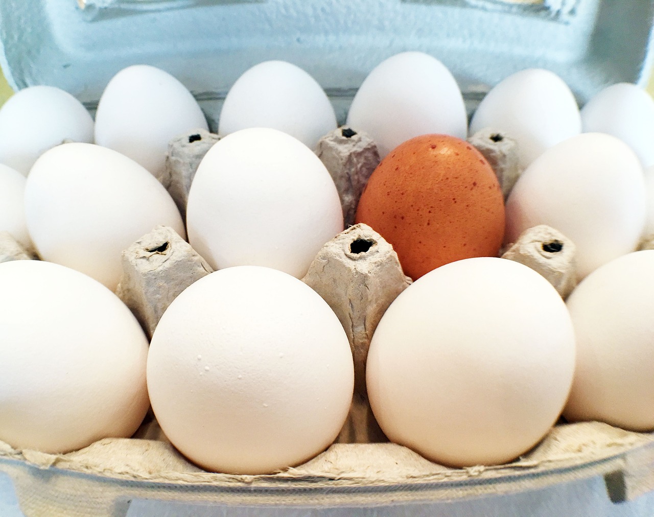 Kiaušiniai, Vienas, Minios, Kiaušinių Dėžutė, Maistas, Nemokamos Nuotraukos,  Nemokama Licenzija