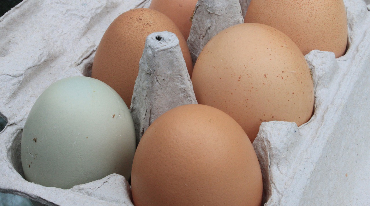 Kiaušiniai, Šviežias, Ūkis, Ekologiškas, Kiaušinio Plekšnė, Žaliavinis, Neplautas, Purvinas, Veislė, Žalias