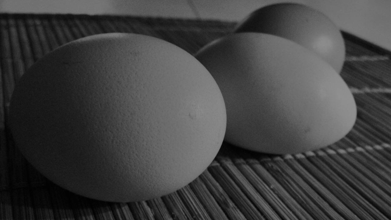 Kiaušiniai, Juoda Ir Balta, Vištos, Nemokamos Nuotraukos,  Nemokama Licenzija