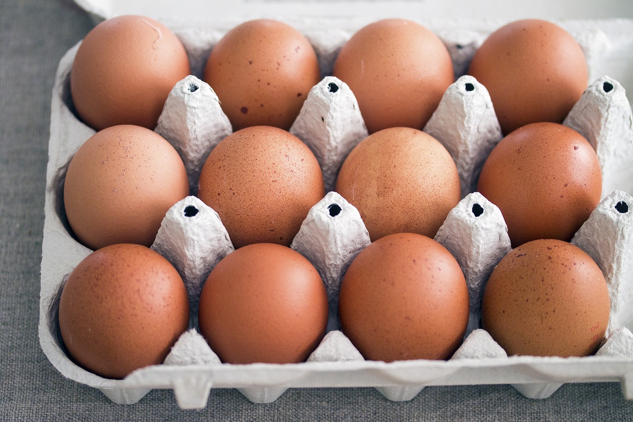 Kiaušiniai, Kaimo Gyvenimas, Vištos, Nemokamos Nuotraukos,  Nemokama Licenzija