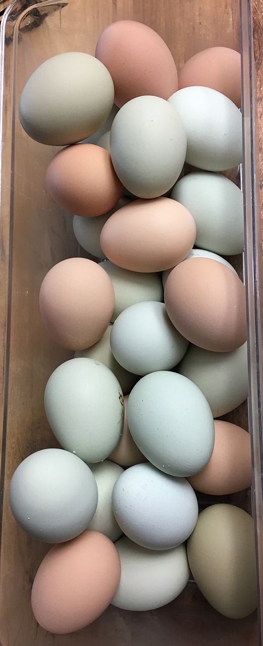 Kiaušiniai, Ūkis, Šviežias
