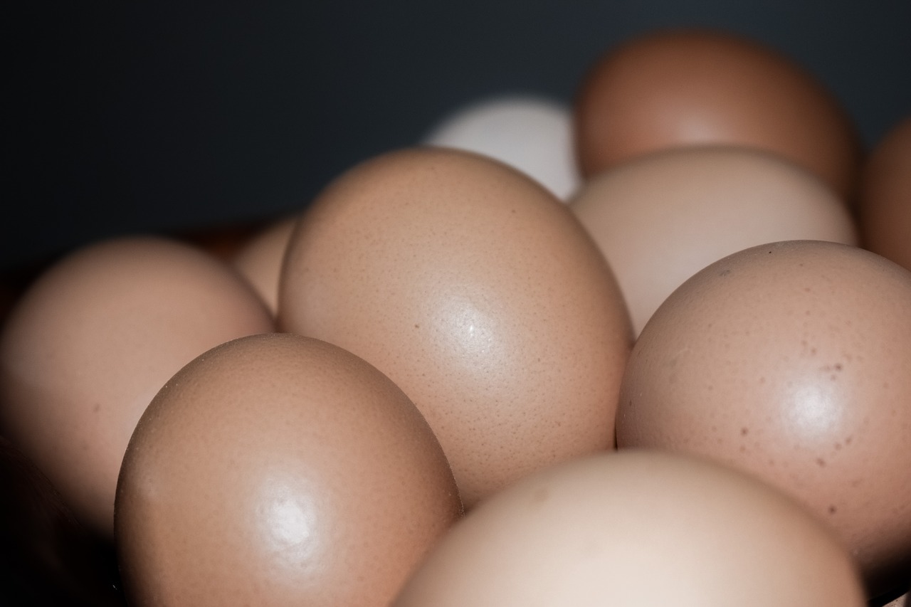 Kiaušiniai, Maistas, Šviežias, Ekologiškas, Nemokamos Nuotraukos,  Nemokama Licenzija