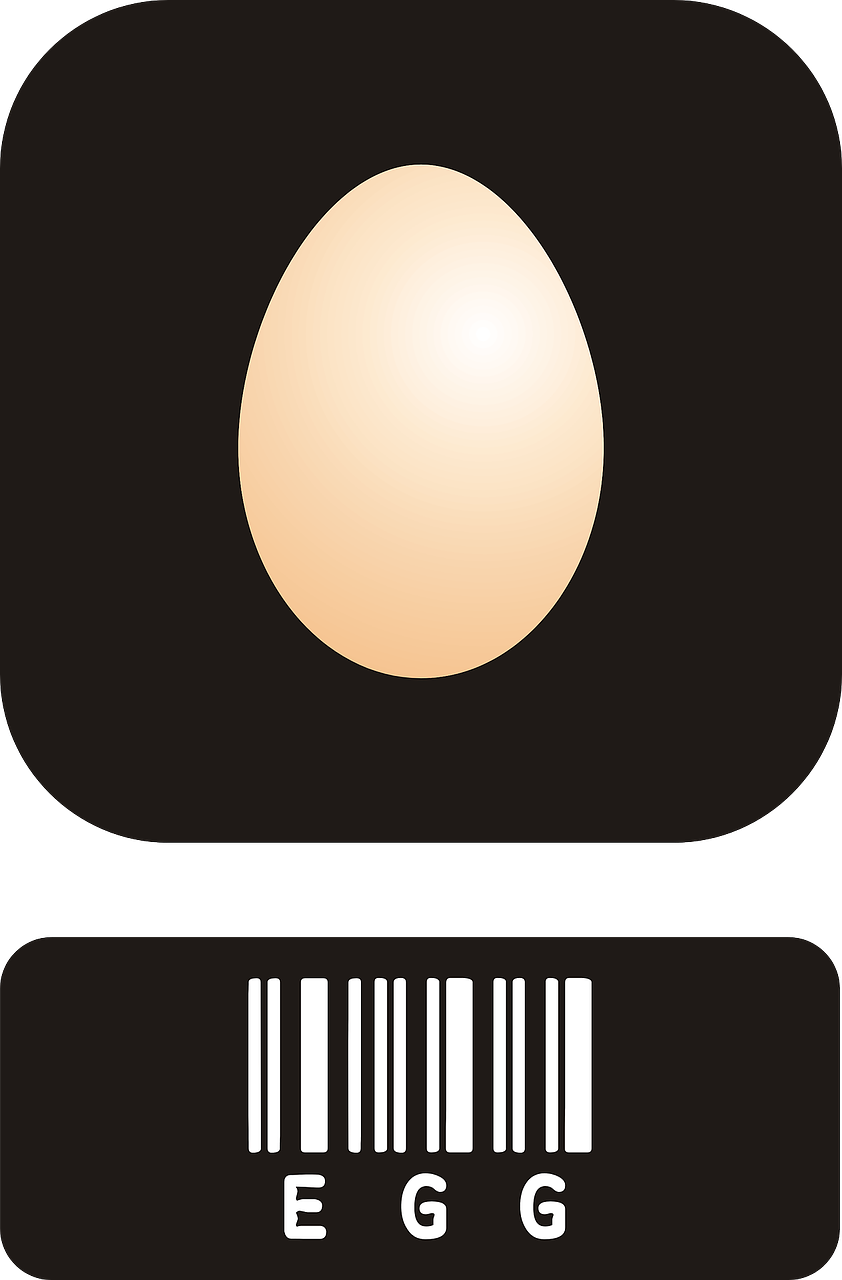 Kiaušiniai, Baltymas, Cholinas, Maistas, Sveikas, Paukščiai, Vištiena, Višta, Maistingas, Balta