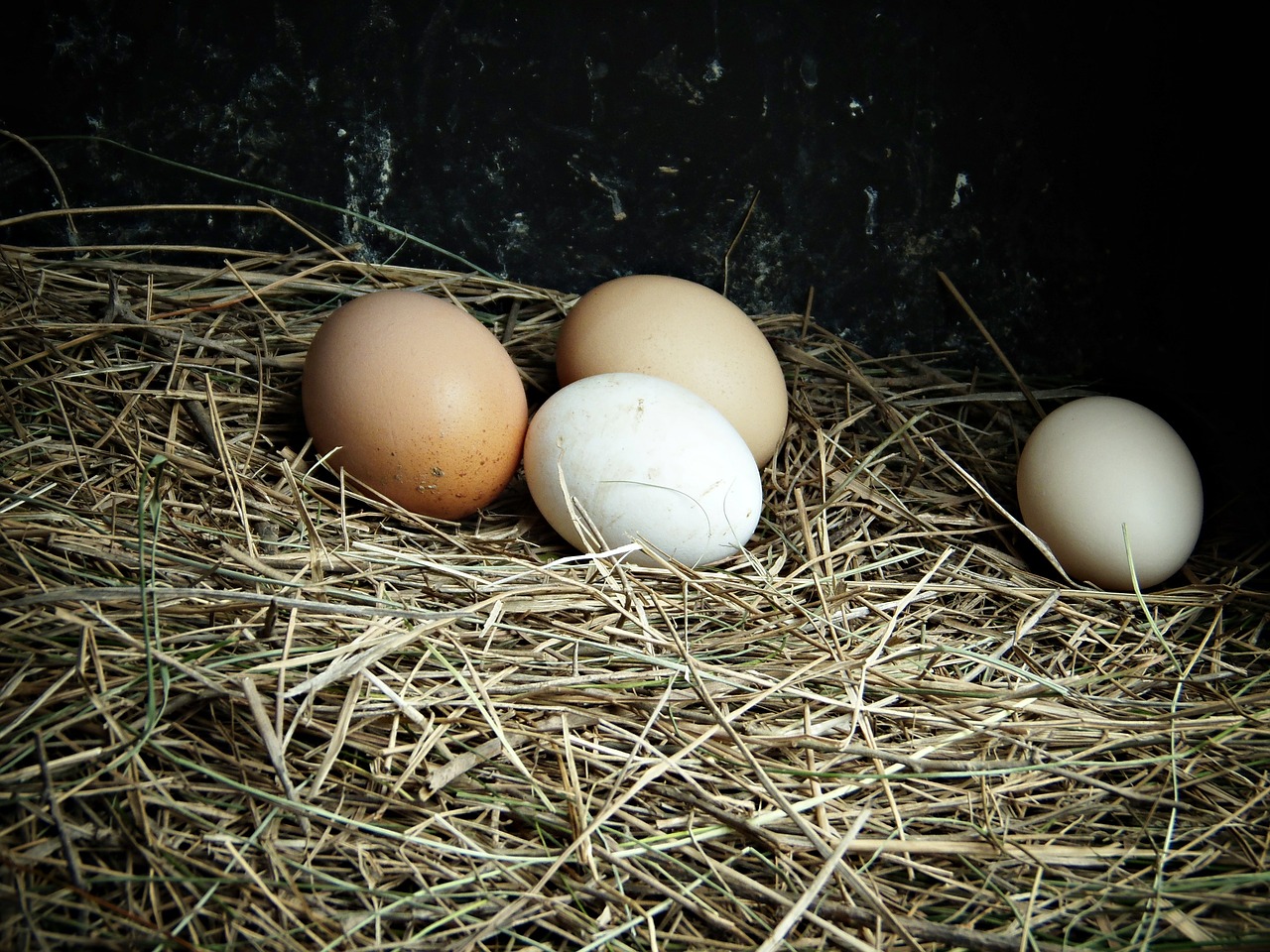 Kiaušiniai, Ūkis, Delikatesas, Maistas, Nemokamos Nuotraukos,  Nemokama Licenzija