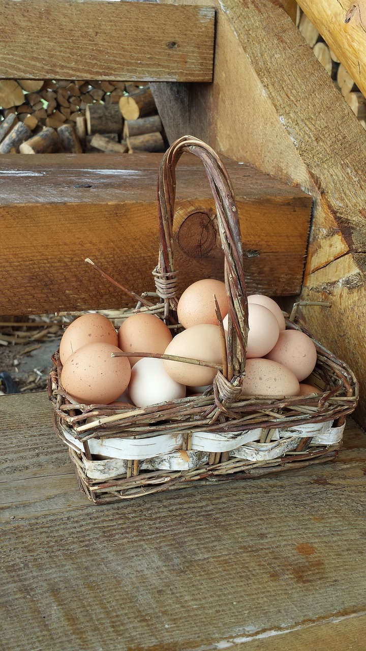 Kiaušiniai Viename Krepšelyje, Kiaušiniai, Krepšelis, Ūkis, Viščiukai, Rudieji Kiaušiniai, Pinti Krepšeliai, Pagaminti, Tradicinis, Ekologiškas