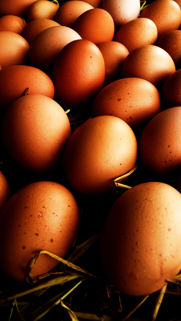 Kiaušiniai,  Šiaudai,  Kiaušinis,  Balta,  Ecru,  Maistas,  Šviežias,  Ekologiškas,  Žaliavinis,  Kiaušiniai