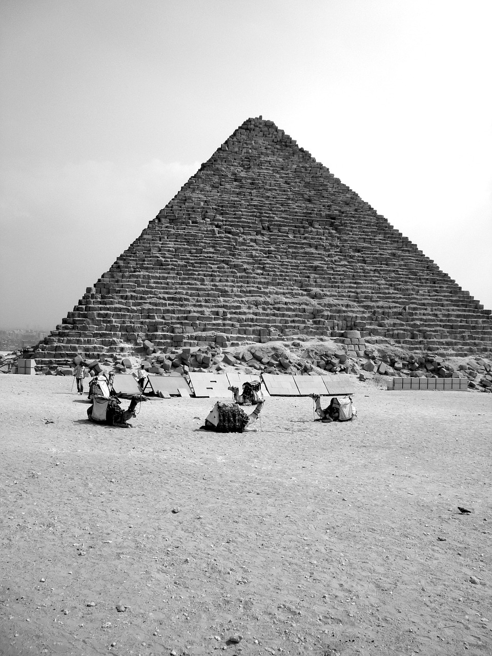 Egiptas, Piramidė, Kupranugaris, Afrika, Faraonas, Ghizé, Giza, Nemokamos Nuotraukos,  Nemokama Licenzija