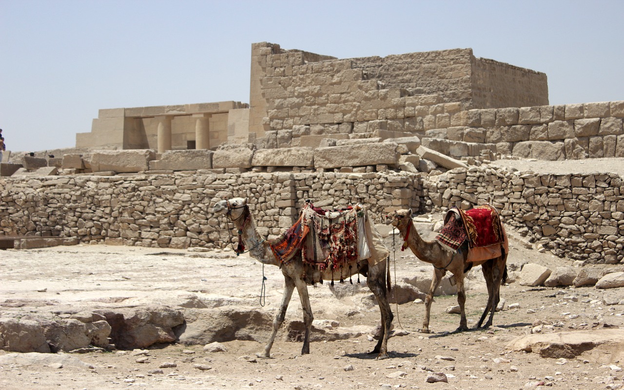 Egiptas, Kairas, Rytinė Piramidė, Kupranugaris, Kupranugariai, Arabiškas, Arabų, Aladdin, Senovės, Architektūra