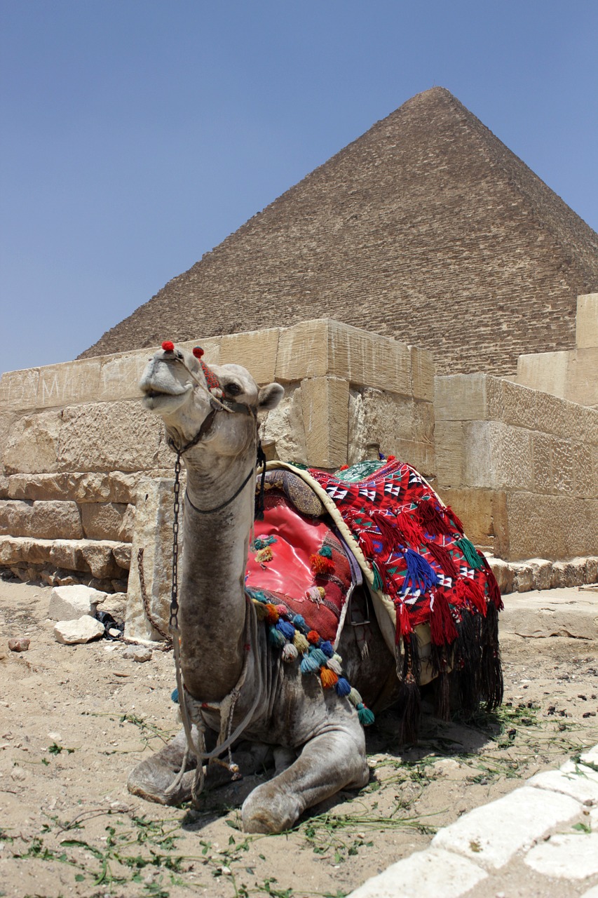 Egiptas, Kairas, Rytinė Piramidė, Kupranugaris, Arabiškas, Arabų, Aladdin, Senovės, Architektūra, Egyptian