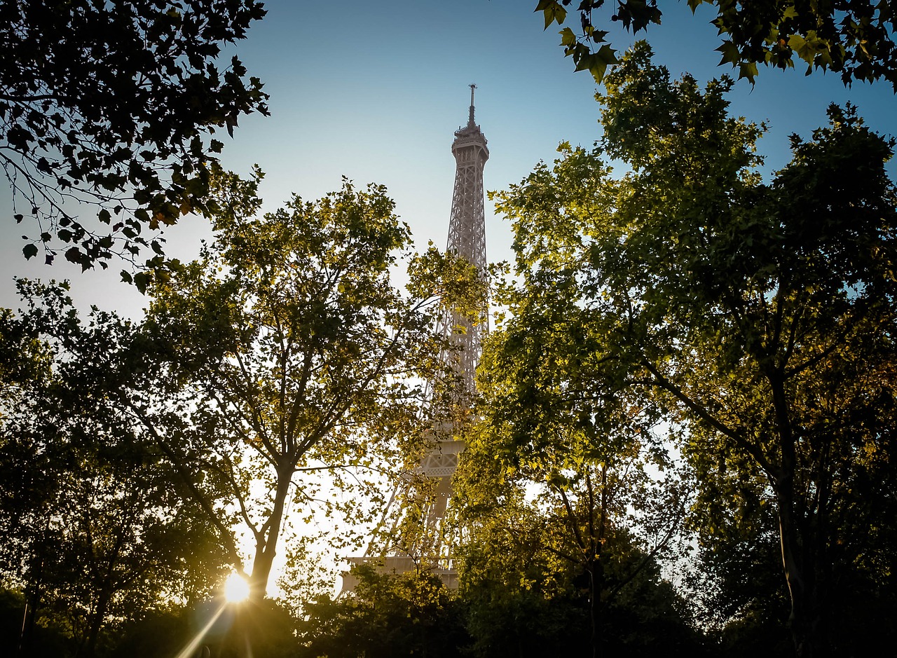 Eifelis, Kelionė, Eifelio Kelionė, Paris, France, Medžiai, Žalias, Mėlynas Dangus, Miesto Panorama, Nemokamos Nuotraukos