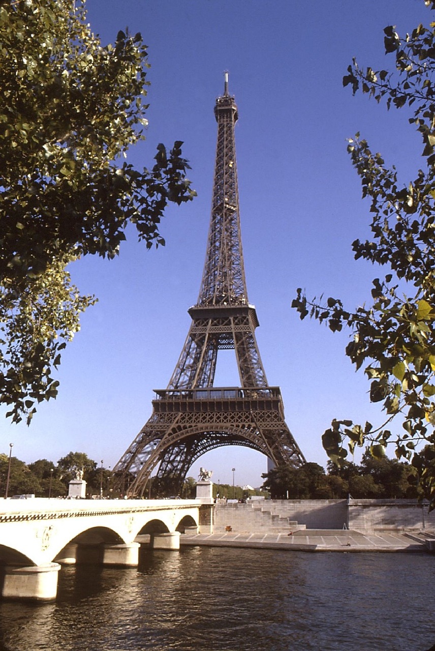 Eifelio Bokštas,  Medžiai,  Filialai,  Paris,  France,  Orientyras,  Architektūra,  Žinomas,  Tiltas,  Vanduo