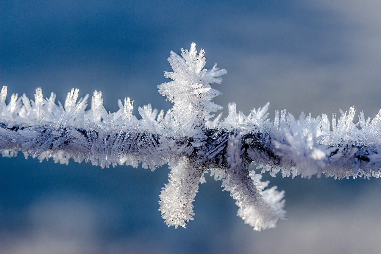 Eiskristalio, Šaltis, Sušaldyta, Šaltas, Ledas, Kristalai, Auskaras, Kristalų Formavimas, Ledinis, Žiema