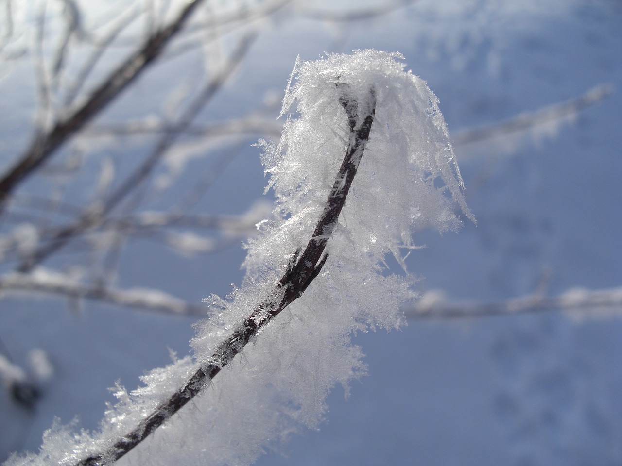 Eiskristalio, Auskaras, Žiema, Šaltis, Nemokamos Nuotraukos,  Nemokama Licenzija