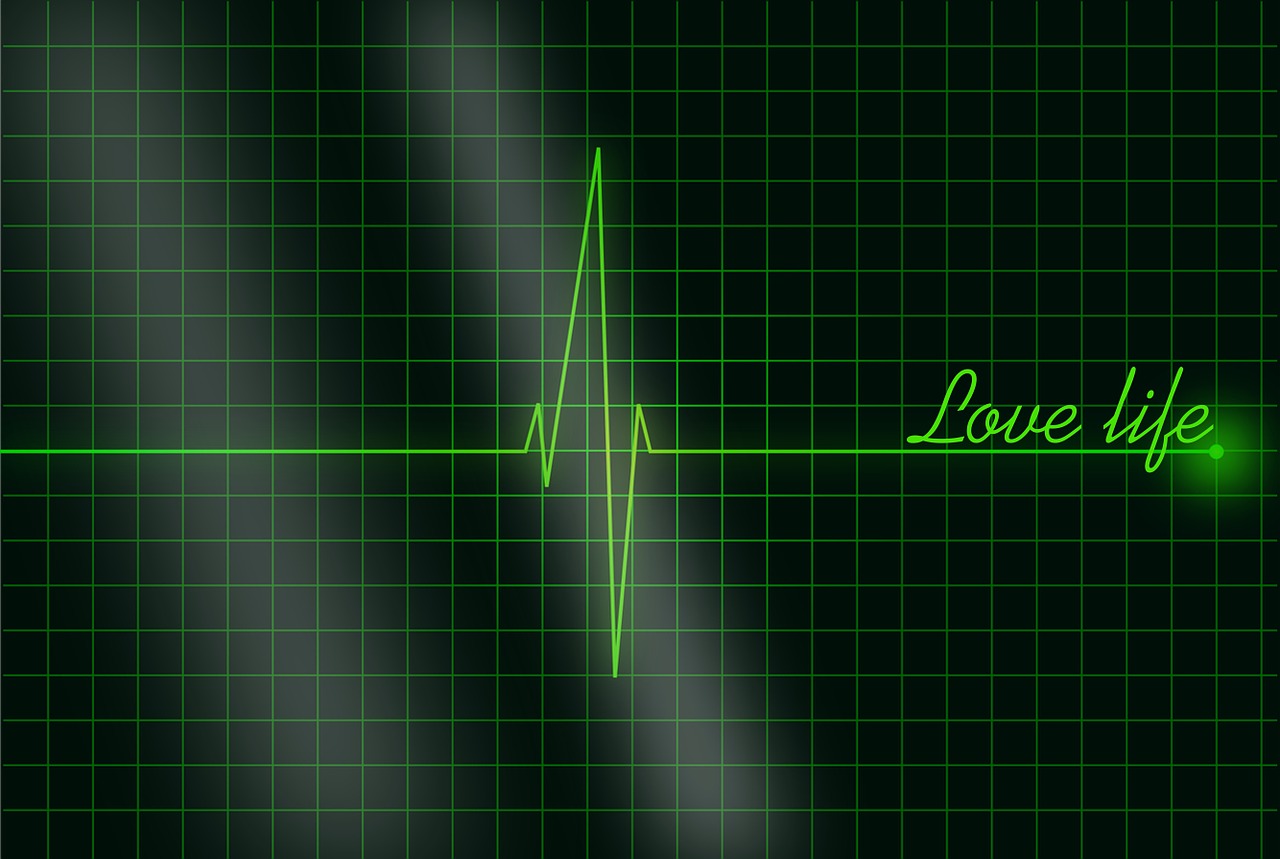 Elektrokardiogramma, Ritmas, Širdies Ritmas, Meilė, Širdis, Valentino Diena, Romantizmas, Romantiškas, Valentine, Brangioji