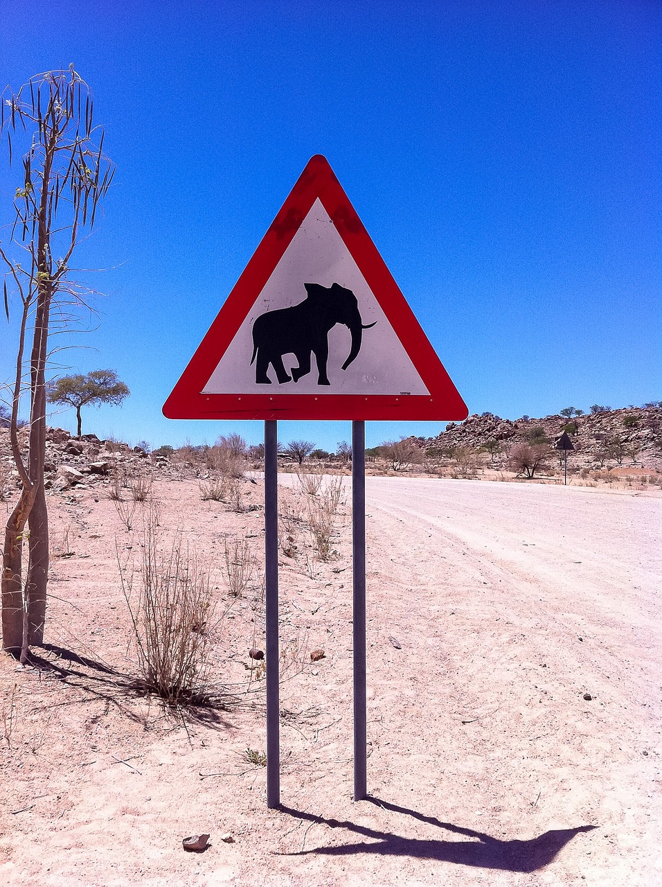 Dramblys, Ženklas, Kelias, Afrika, Namibija, Nemokamos Nuotraukos,  Nemokama Licenzija