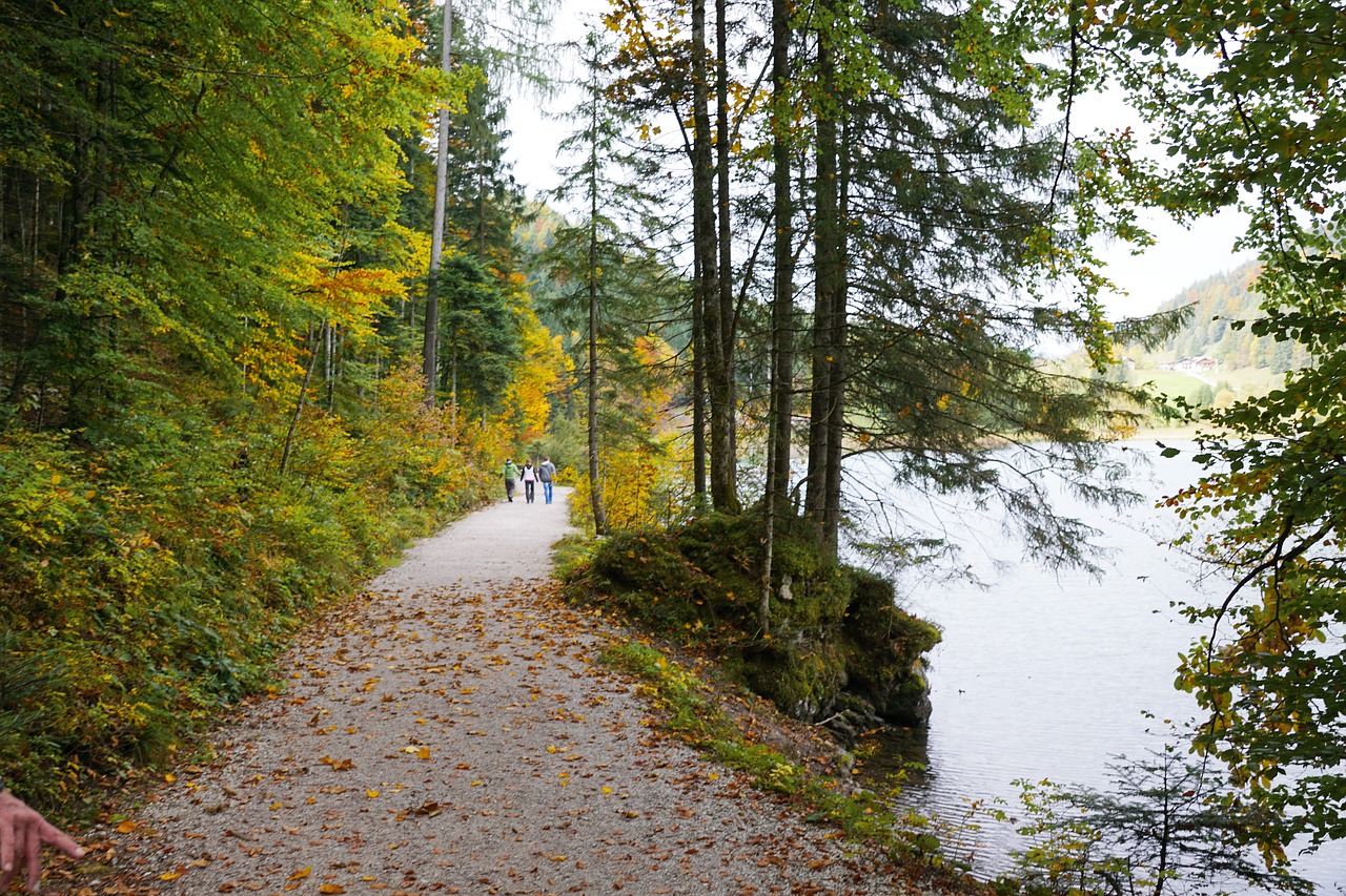 Ellmau, Scheffau, Austria, Ežeras, Kraštovaizdis, Gamta, Kalnai, Alpių, Idiliškas, Millstatt