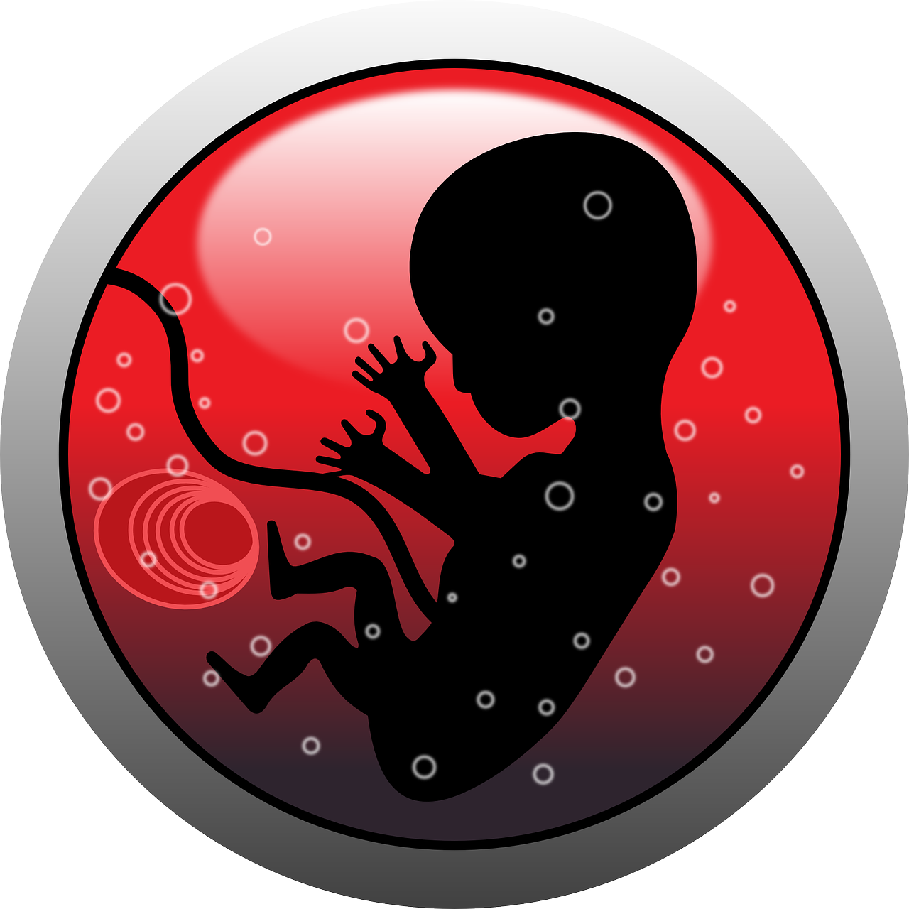 Embrionas, Žmogus, Kūdikis, Nėštumas, Siluetas, Nemokama Vektorinė Grafika, Nemokamos Nuotraukos,  Nemokama Licenzija