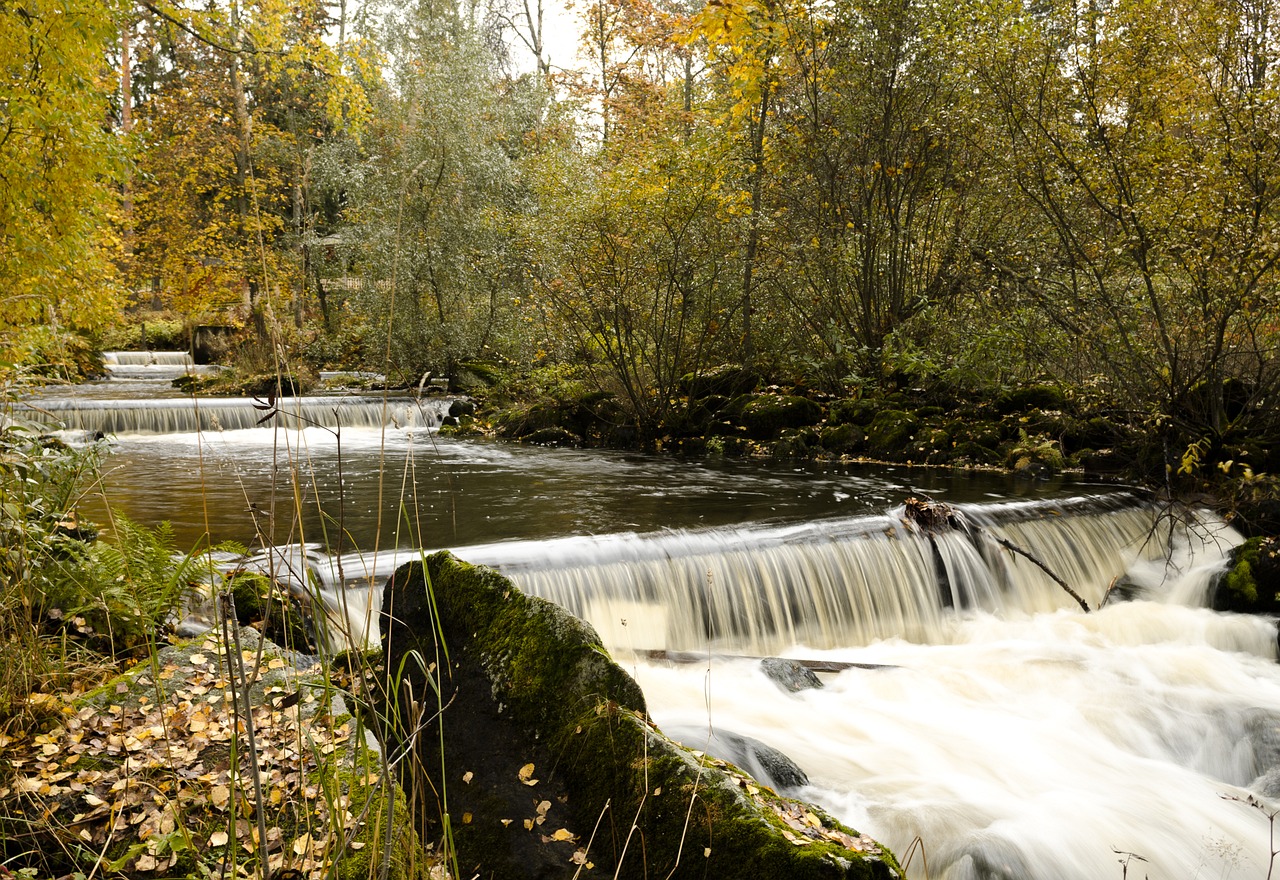 Enonkoski, Suomių, Finland, Tekantis Vanduo, Slenksčiai, Kraštovaizdis, Upė, Ruduo, Lapkritis, Vanduo