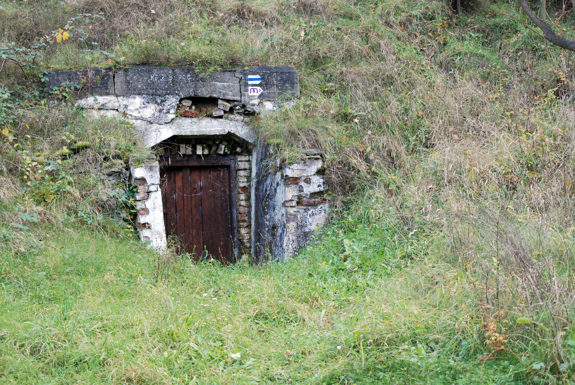 Durys,  Katakombas,  Katakombos,  Paliktas,  Urvas,  Pavojus,  Jaudulys,  Hillside,  Miškas,  Skilimas