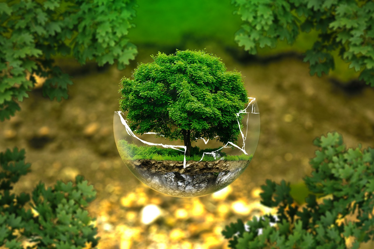 Aplinkos Apsauga, Gamtos Apsauga, Ekologija, Eco, Bio, Stiklo Rutulys, Miškas, Žalias, Ekologiškas, Gyventi