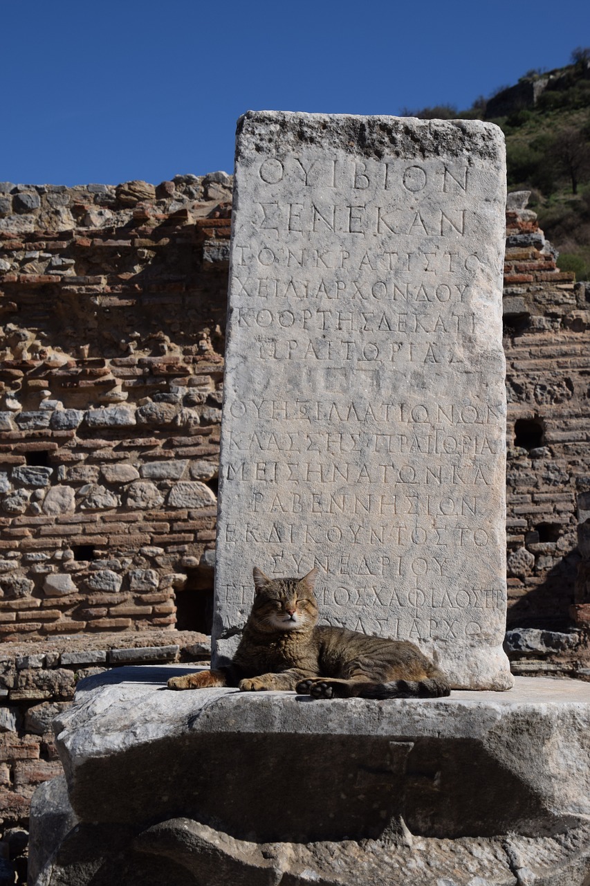 Efesas, Apsauga, Kodas, Paslaptis, Archeologija, Ramstis, Nemokamos Nuotraukos,  Nemokama Licenzija