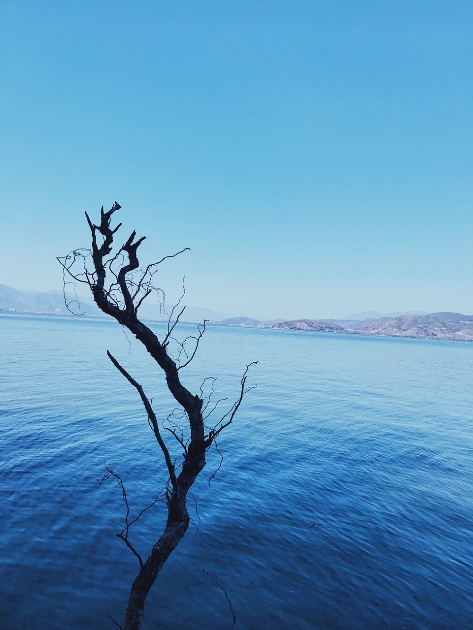 Erhai Ežeras, Yunnan Provincijoje, Dviguba Galerija, Nudrus, Nemokamos Nuotraukos,  Nemokama Licenzija