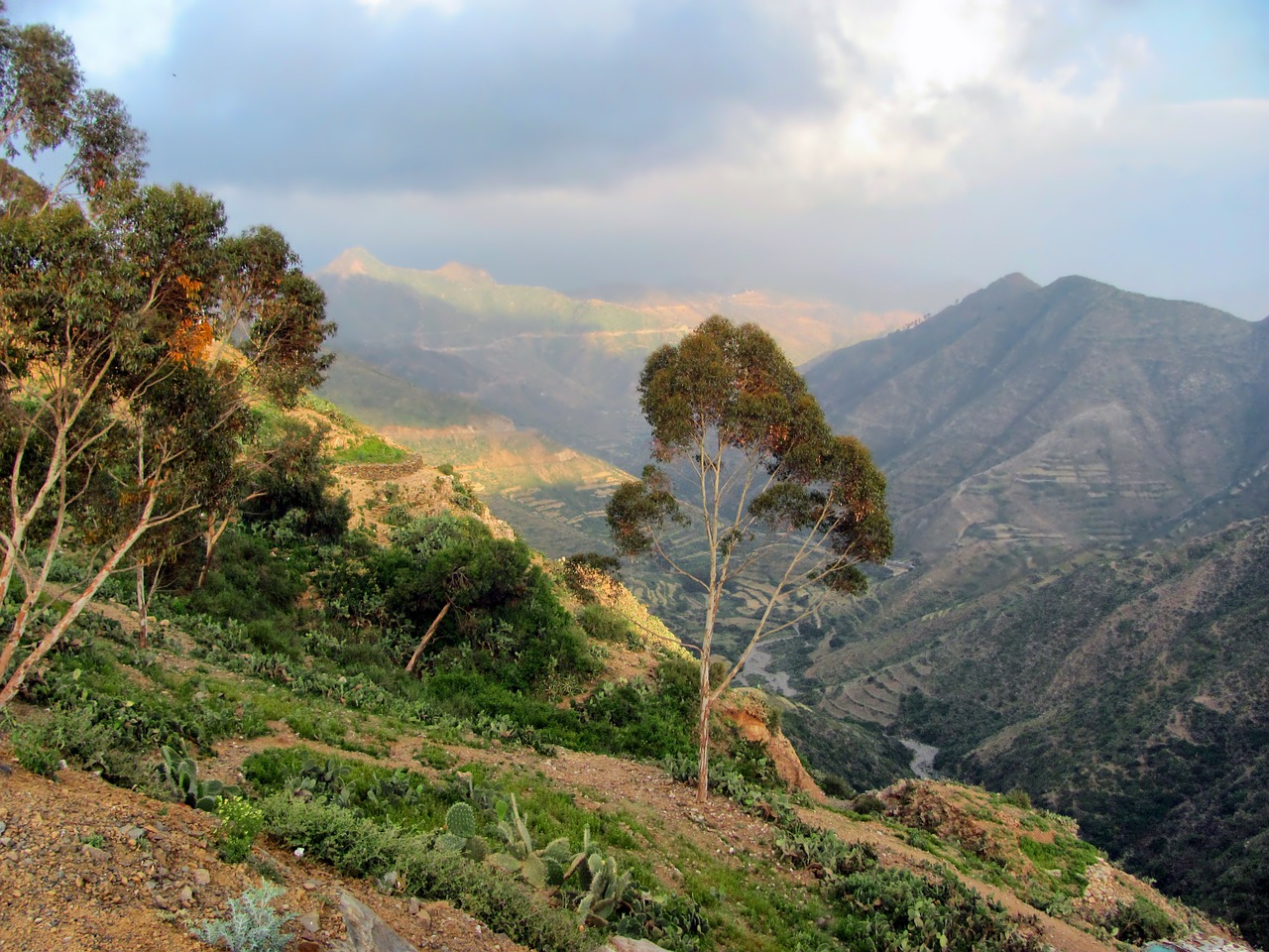 Eritrea, Kalnai, Slėnis, Kraštovaizdis, Miškas, Medžiai, Vaizdingas, Kaimas, Gamta, Lauke