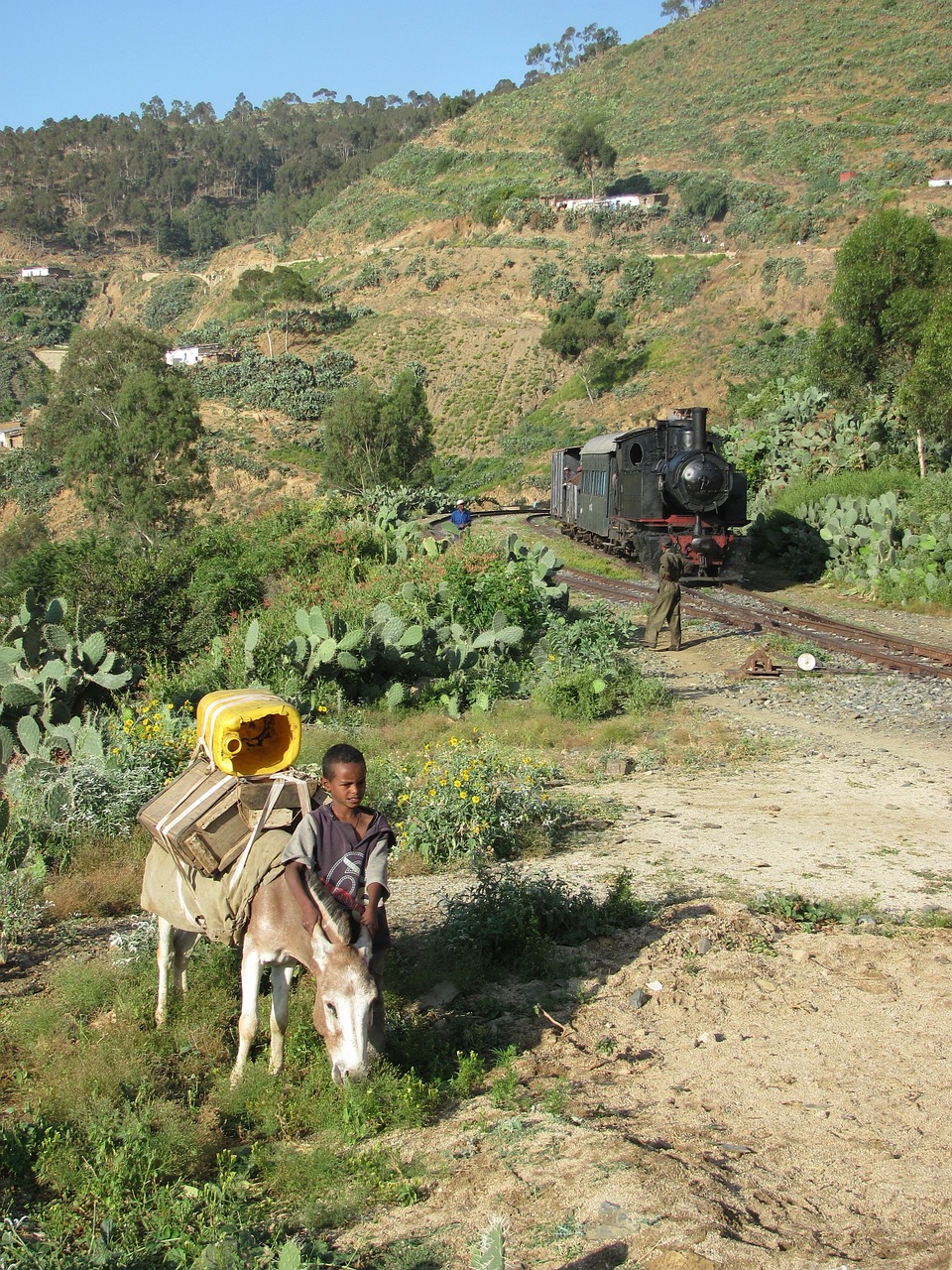 Eritrea, Kraštovaizdis, Berniukas, Asilas, Traukinys, Kalvos, Medžiai, Augalai, Žolė, Trasa