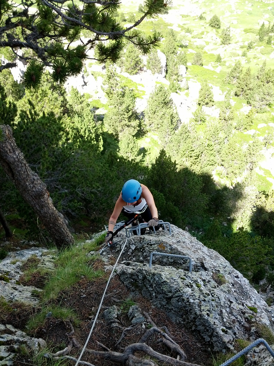 Eskalacija, Rokas, Viršuje, Kalnas, Sportas, Medis, Miškas, Alpinizmas, Dangus, Nemokamos Nuotraukos