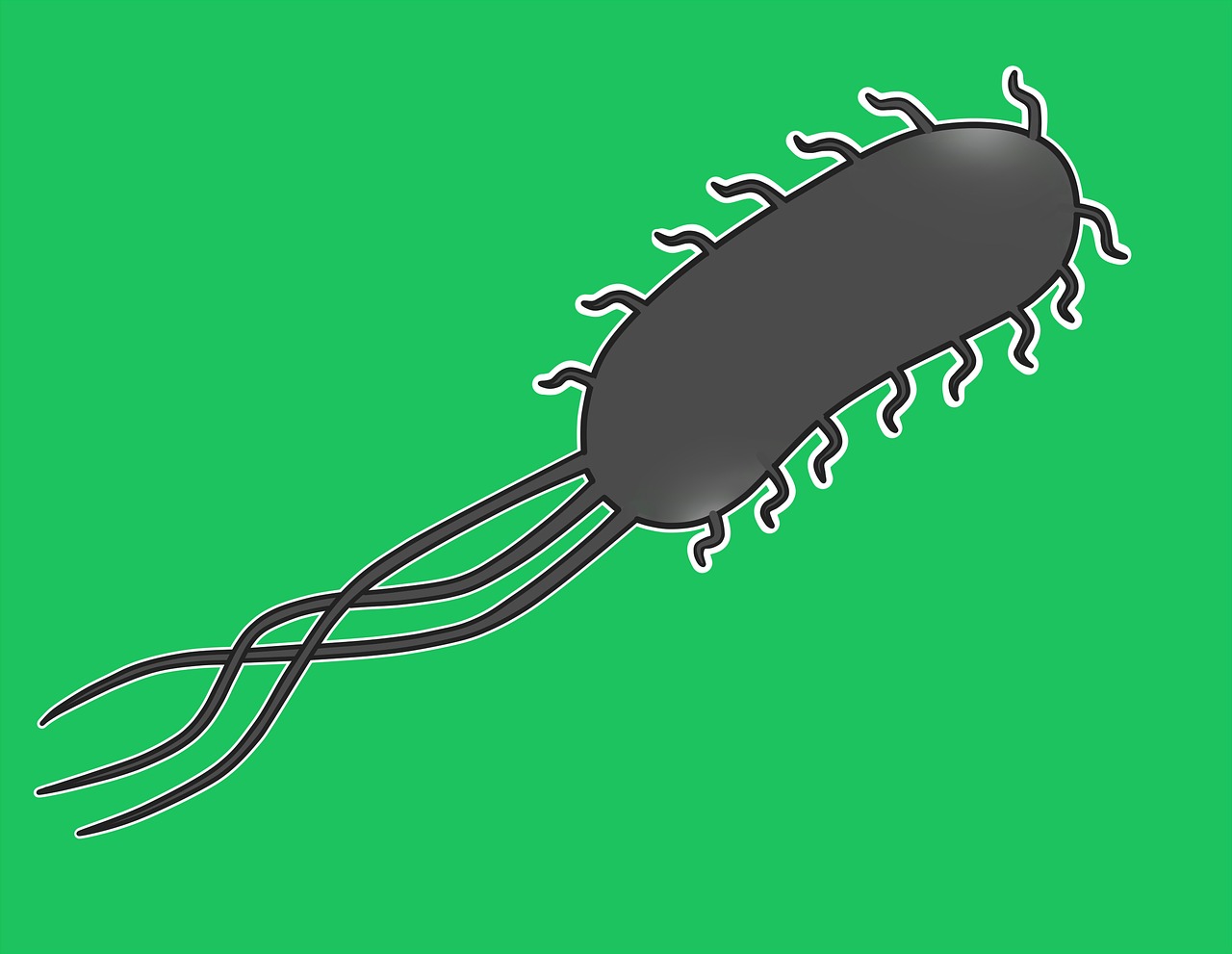 Escherichia Coli, Bakterijos, Mikrobiologija, Mikroorganizmas, Sveikata, Nemokamos Nuotraukos,  Nemokama Licenzija