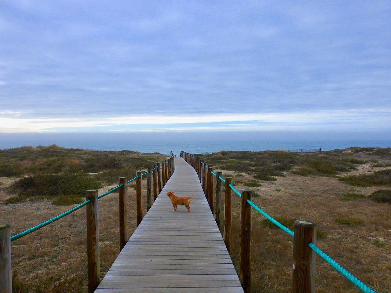 Esposende, Portugal, Papludimys, Saulėlydis, Mar, Nemokamos Nuotraukos,  Nemokama Licenzija