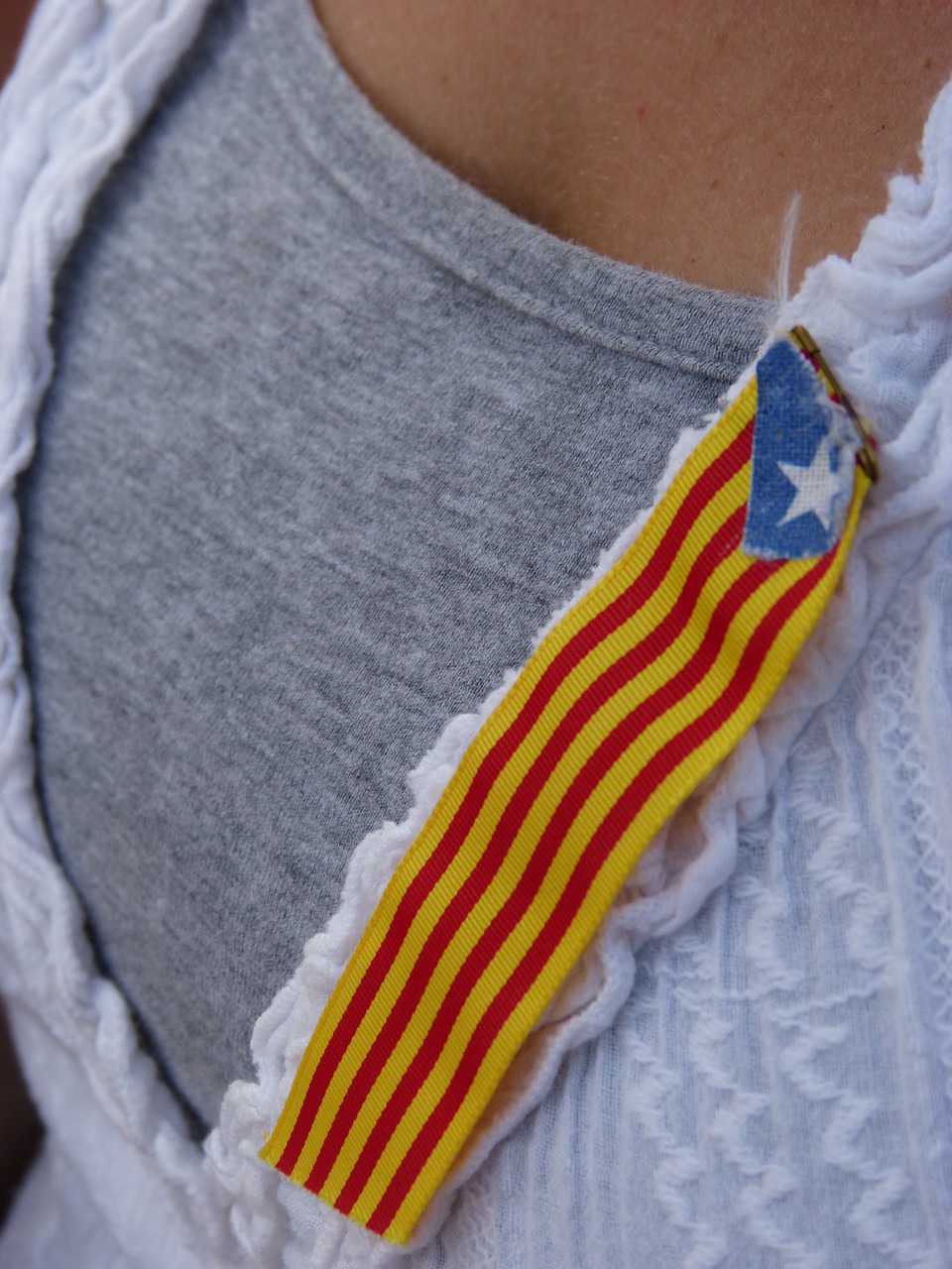 Estelada, Catalana, Pynė, Išsamiai, Simbolis, Etiketė, Vėliava, Nemokamos Nuotraukos,  Nemokama Licenzija