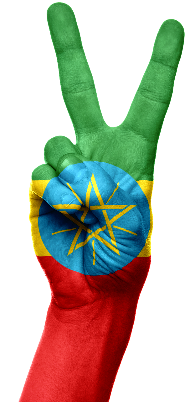 Etiopija, Vėliava, Ranka, Afrika, Pasididžiavimas, Nacionalinis, Patriotinis, Patriotizmas, Taika, Pergalė