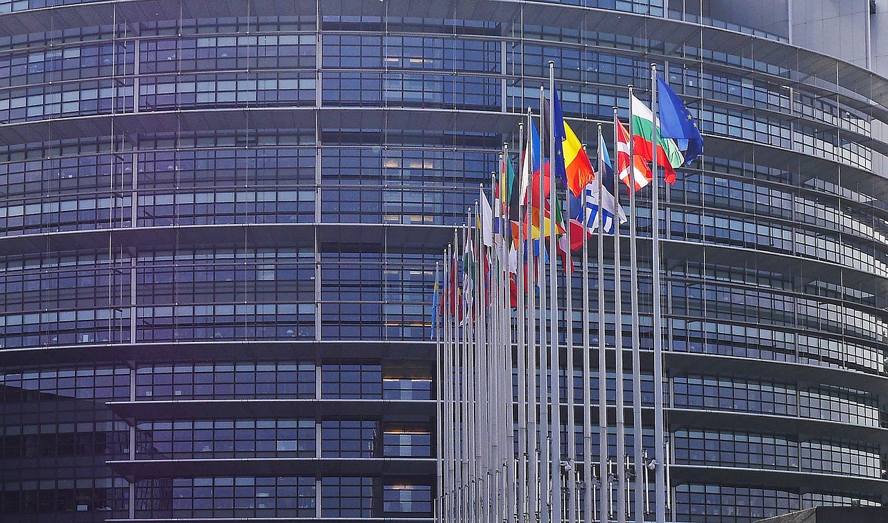 Europos Parlamentas, Strasbourg, Vėliavos, Vėliavos Miškas, Eu, Europos Sąjunga, Ue, Parlamentas, Architektūra, Lankytinos Vietos